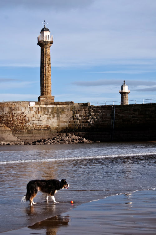 Whitby photograph