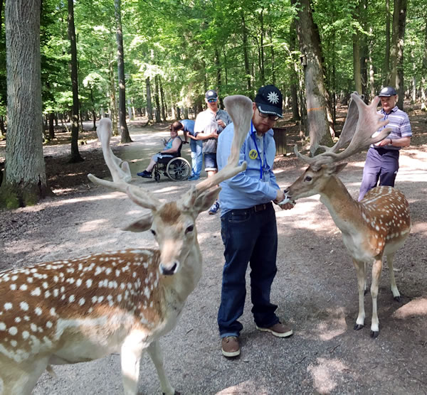 One of our group, Josh Smith, feeding animals at the nature park in Eschwege