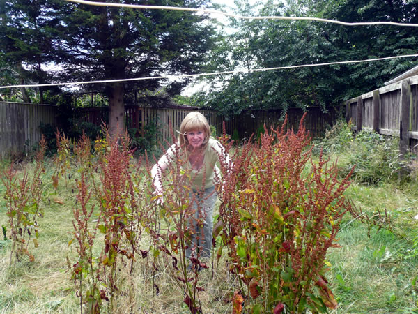 Me clearing&nbsp;the garden of a disabled lady at the request of 